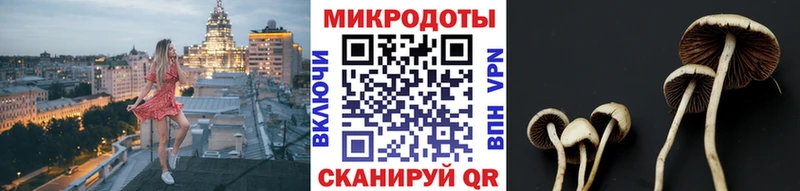 Псилоцибиновые грибы ЛСД Углич
